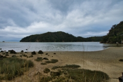 DSC_8981