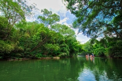 Wuyishan-51