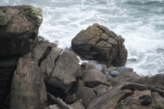DSC_9431 DSC_9431