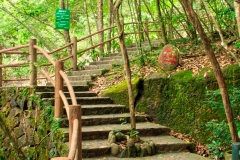 Wuyishan-08-2