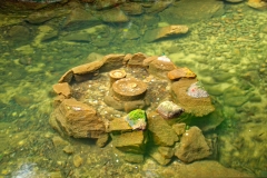 Wuyishan-10-2