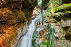 Wuyishan-11-2 Wuyishan-11-2