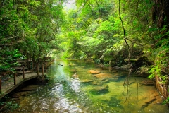 Wuyishan-12-2
