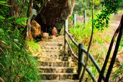 Wuyishan-16-2 Wuyishan-16-2