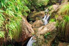 Wuyishan-18-2