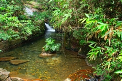 Wuyishan-21-1