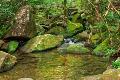 Wuyishan-22-1