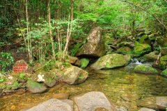 Wuyishan-23-1