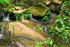 Wuyishan-29-1