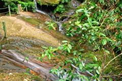 Wuyishan-30-1