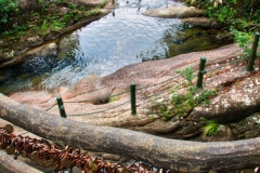 Wuyishan-34-1
