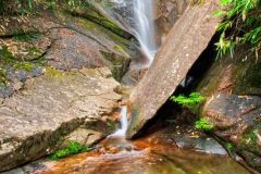 Wuyishan-36-1
