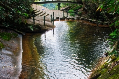 Wuyishan-37-1