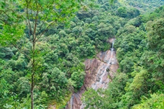 Wuyishan-41-1 Wuyishan-41-1