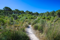 Mallorca-017