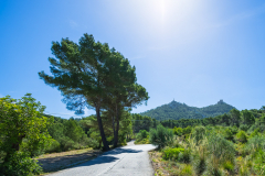 Mallorca-018