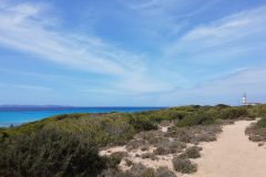 Mallorca-049