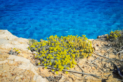Mallorca-060