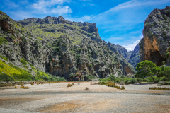 Mallorca-071
