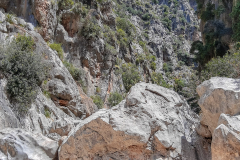 Mallorca-074