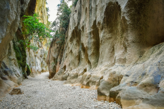 Mallorca-079