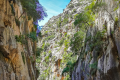 Mallorca-081