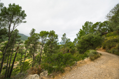 Mallorca-095