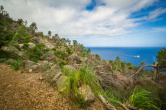 Mallorca-098