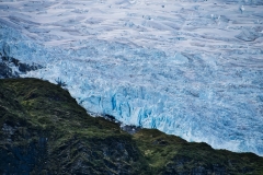 DSC_1115 DSC_1115