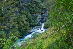 DSC_1004 DSC_1004