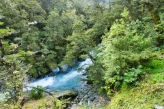 DSC_1046 DSC_1046