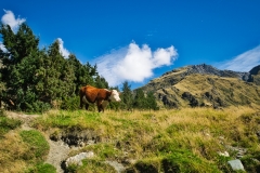 DSC_0926 DSC_0926