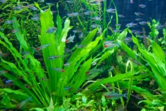 Blog-45 Blog-45
