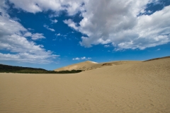 DSC_5629 DSC_5629