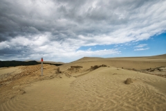 DSC_5659 DSC_5659