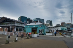 DSC_8182