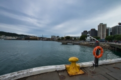 DSC_8191