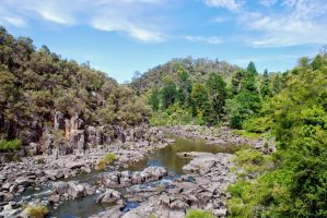 Launceston