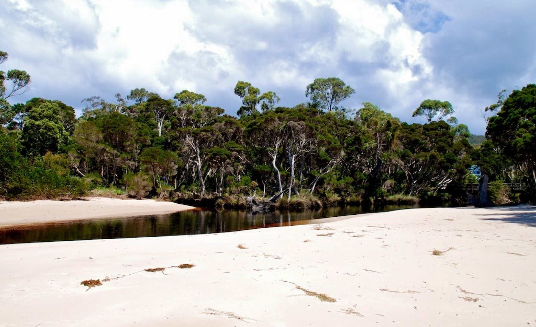 Devonport, Rocky Cape NP, Stanley & Pizza Night