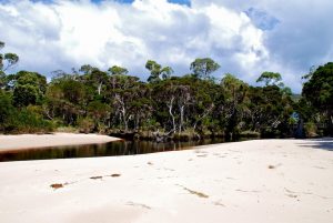 Devonport, Rocky Cape NP, Stanley & Pizza Night