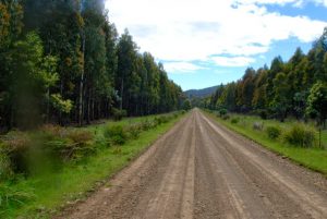 Aspley Gorge & Bay of Fires