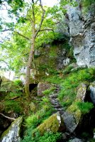 Inversnaid – Inverarnan – Crianlarich