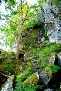 Inversnaid - Inverarnan - Crianlarich