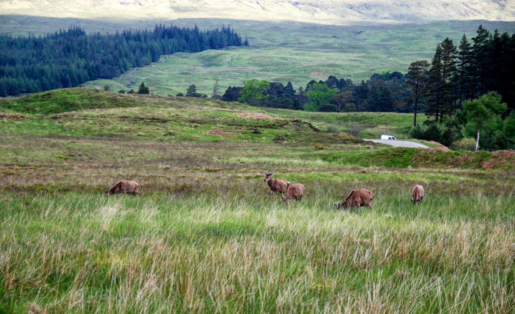 Inveroran Hotel – Kingshouse