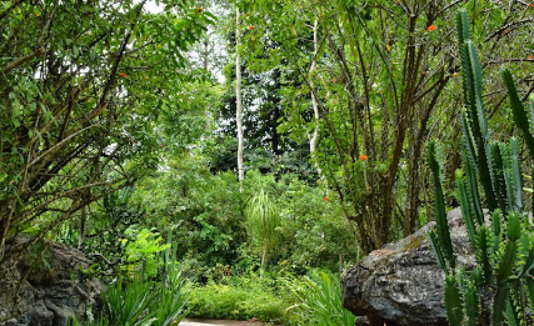 27.03.2015: Singapore Zoo