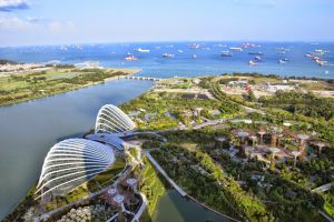 27.03.2015: Marina Bay Sands Skypark & Raffles Longbar