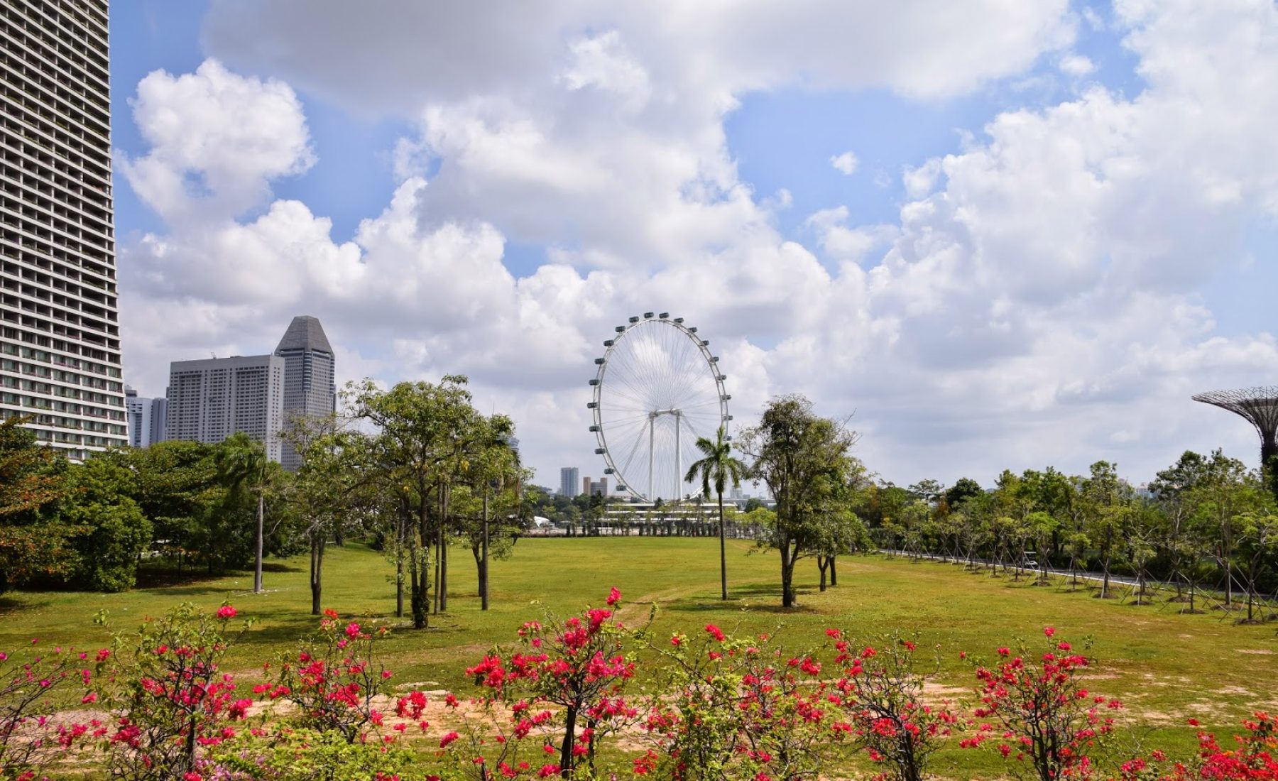 26.03.2015: Gardens by the Bay