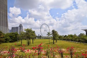 26.03.2015: Gardens by the Bay