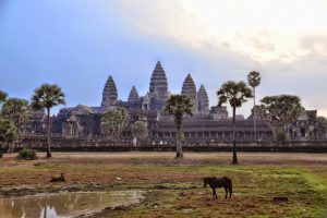 30.03.2015: Foto-Tour im Angkor National Park