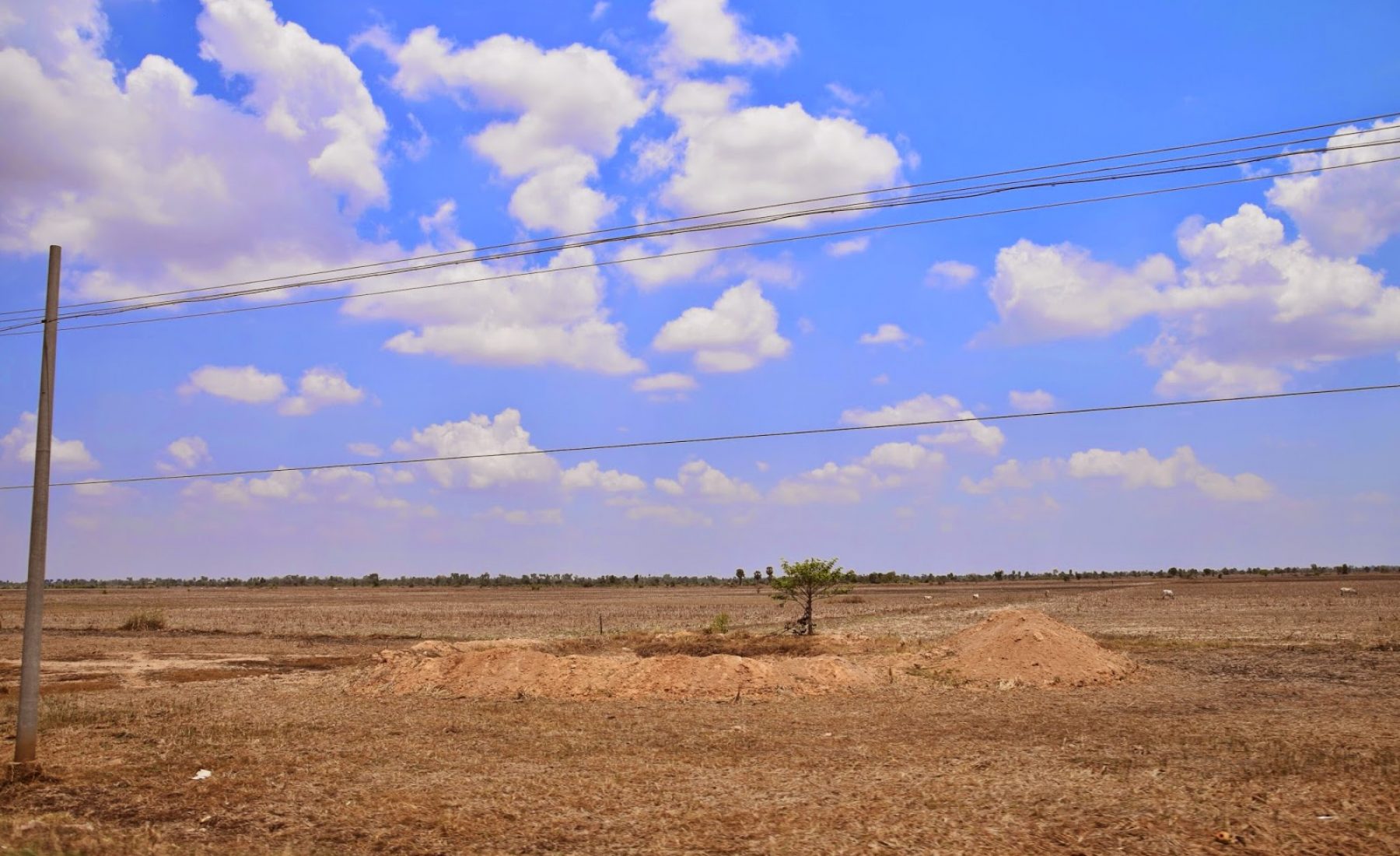 02.04.2015: Battambang